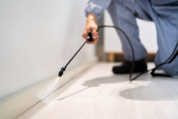 Licensed Pest Control service in Enterprise, OR - Show Me Pest Control