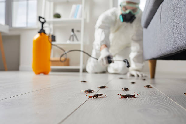 Post-Treatment Bed Bug Interceptor Monitoring in Enterprise